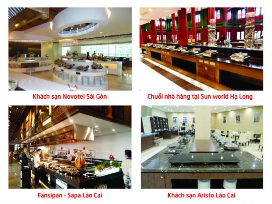 MasterINDUC  chuyên cung cấp bếp từ đơn công nghiệp chất lượng cao