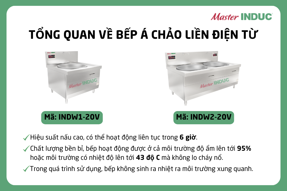 Tổng quan về Bếp Á chảo liền điện từ MasterINDUC